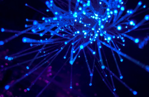purple and blue light digital wallpaper